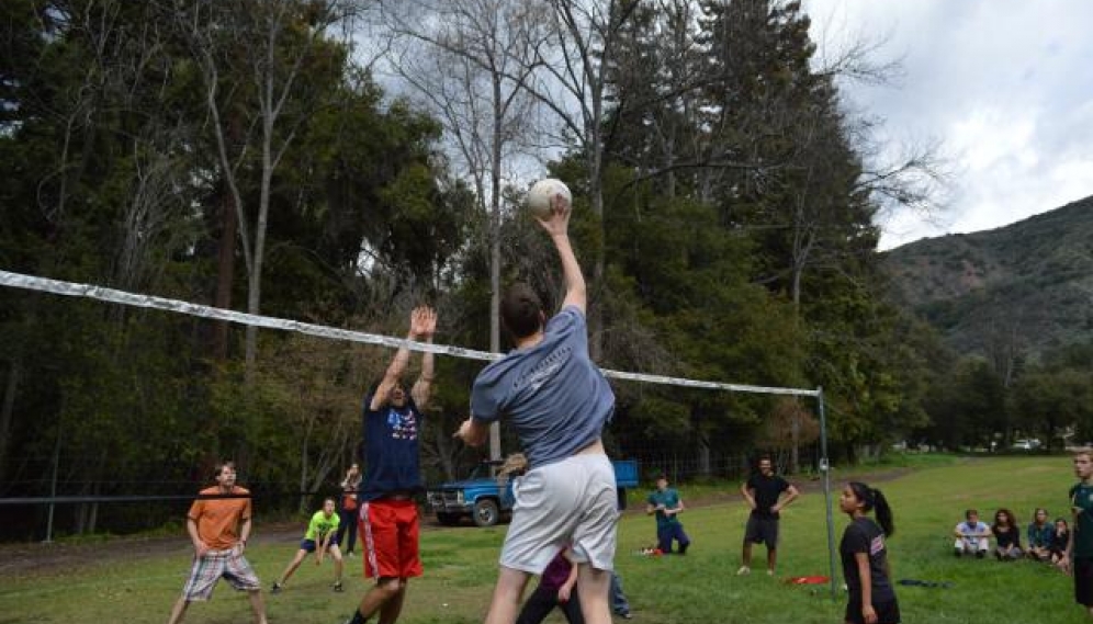 Volleyball Spring 2015