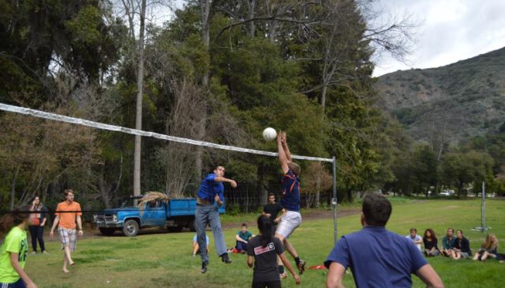 Volleyball Spring 2015