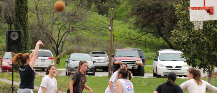 basketball-CA