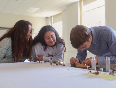 Students collaborate on the bug project