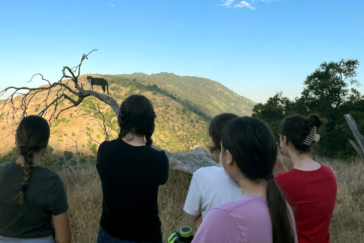 Students on hike