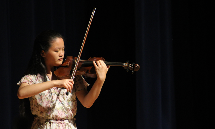 Violinist