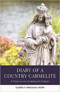 Montanaro Book