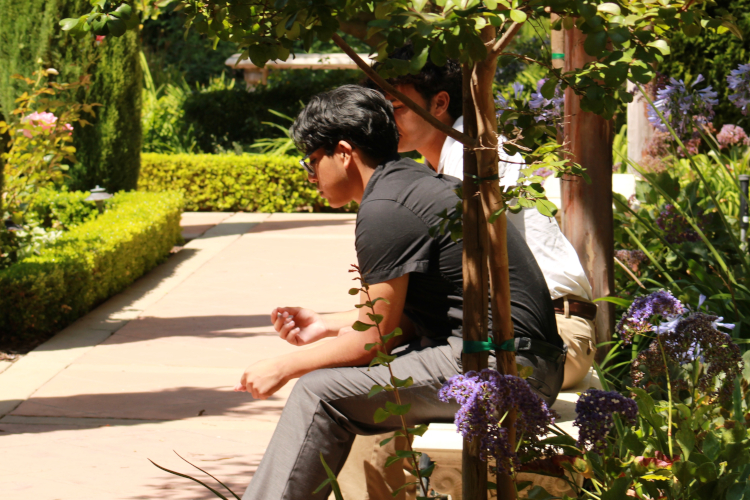 Students on the 2025 California High School Summer Program