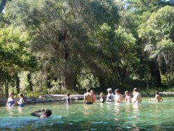 Cooling off in the pond