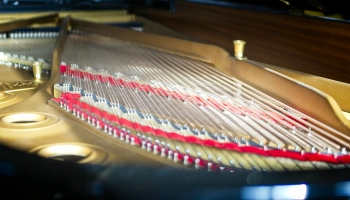 View of the strings of a piano