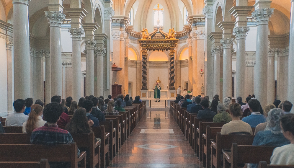 Bishop Barron offers Mass