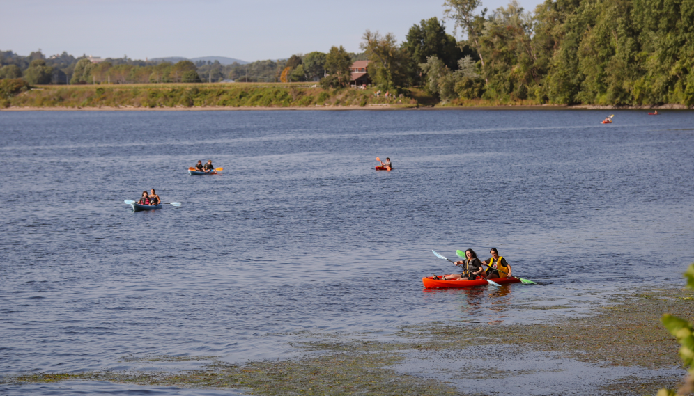 Kayakers out on the river