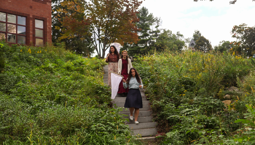 Three adventure down the steps outside Dolben looking for bugs