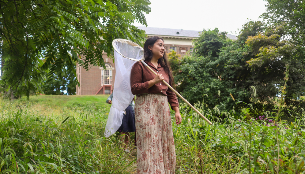 A student searches for bugs, net over her shoulder