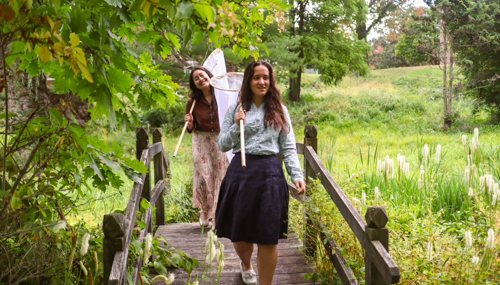 Two cross the wooden bridge in search of bugs