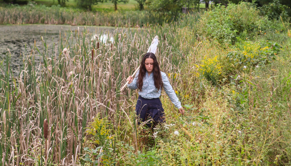 A student wades through the tall cattails by the pond, searching for bugs