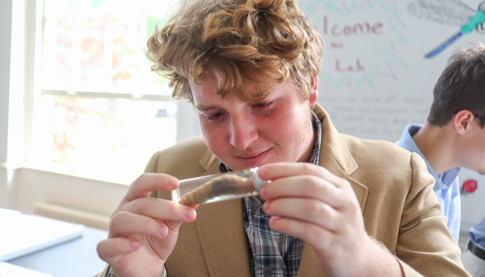 A student examines an enormous caterpillar in a vial