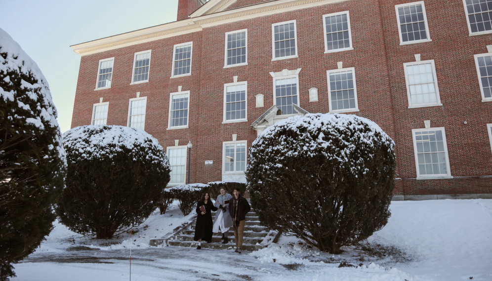 Snow on the ground and bushes in front of Palmer