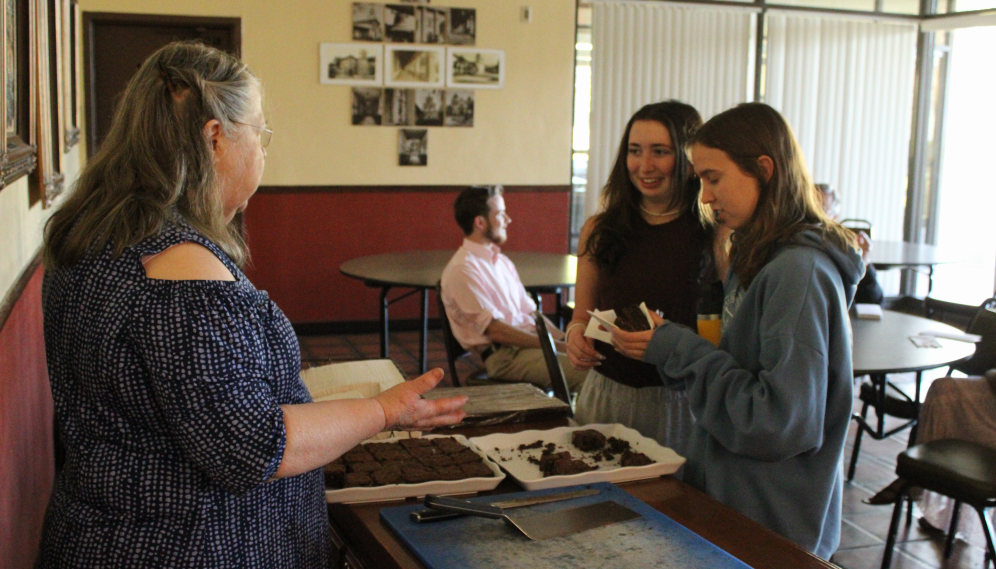 Two select brownies