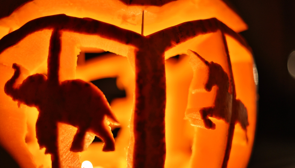 Pumpkin-carving social