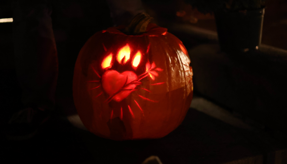 Pumpkin-carving social