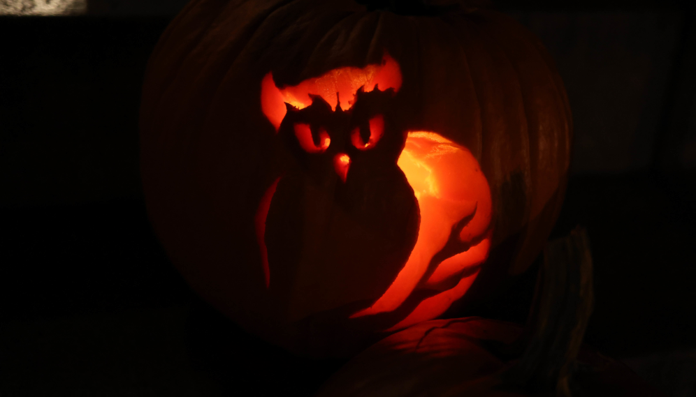 Pumpkin-carving social