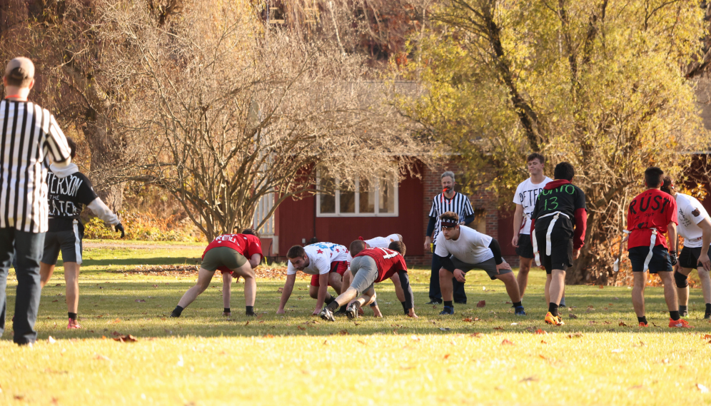 Lined up for a play