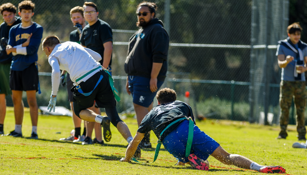 The turkey bowl