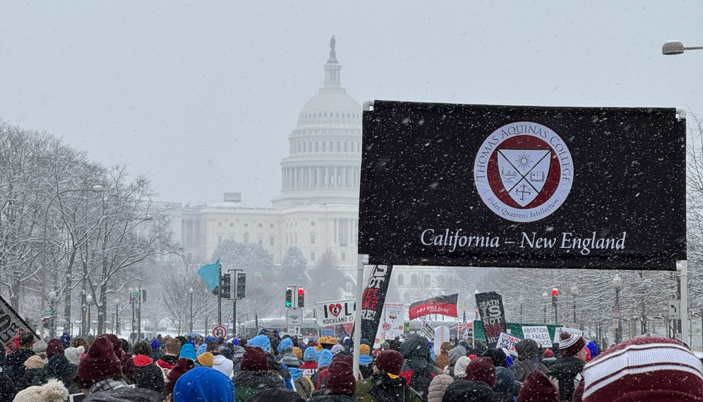 The march for life, 2024