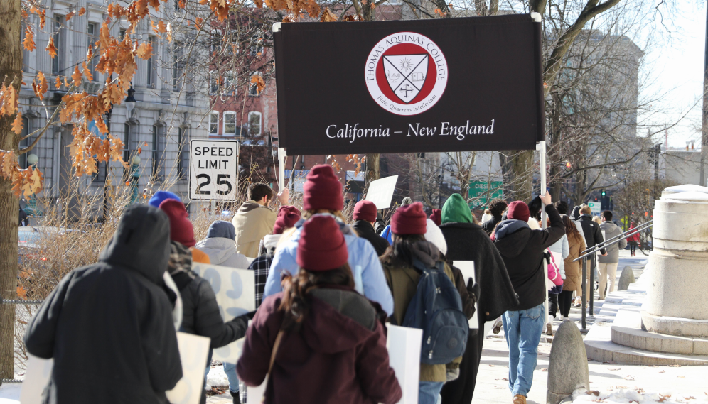 New England students walk for life in springfield