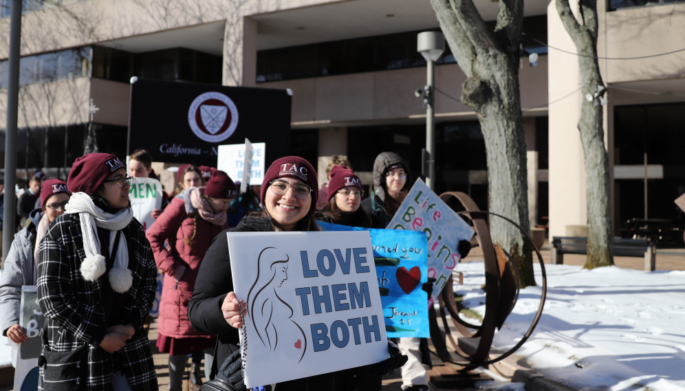 New England students walk for life in springfield