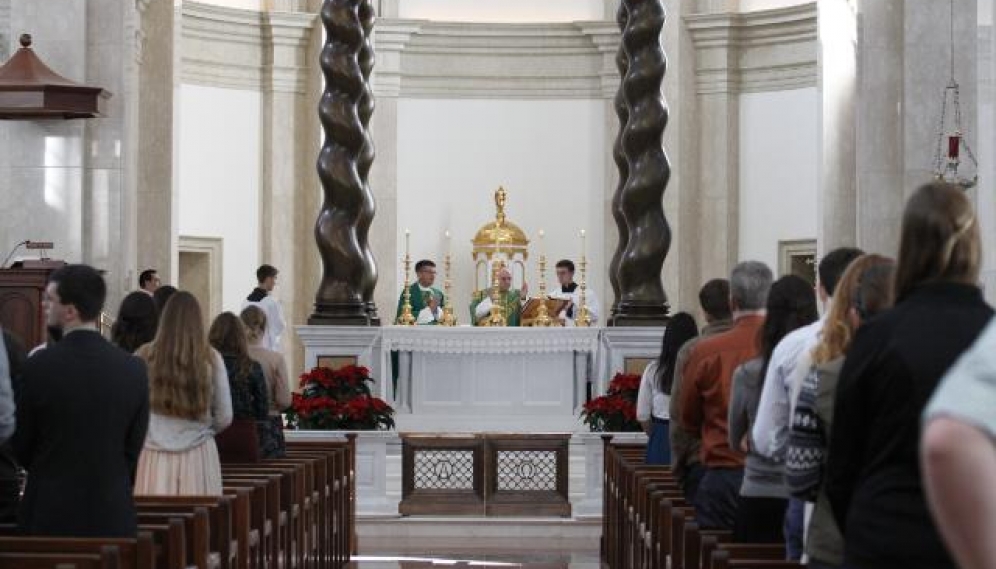 Archbishop Vigano Mass 1-12-2018