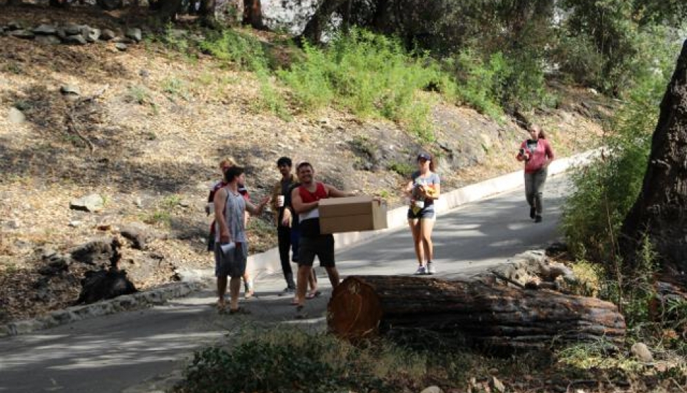 Cardboard Yacht Regatta (2018)