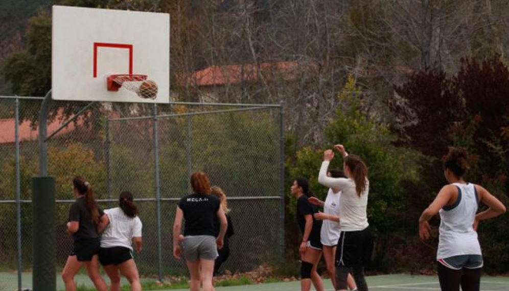 Spring Basketball 2019