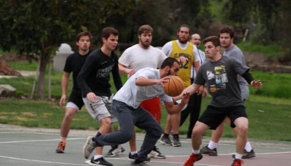 Spring Basketball 2019
