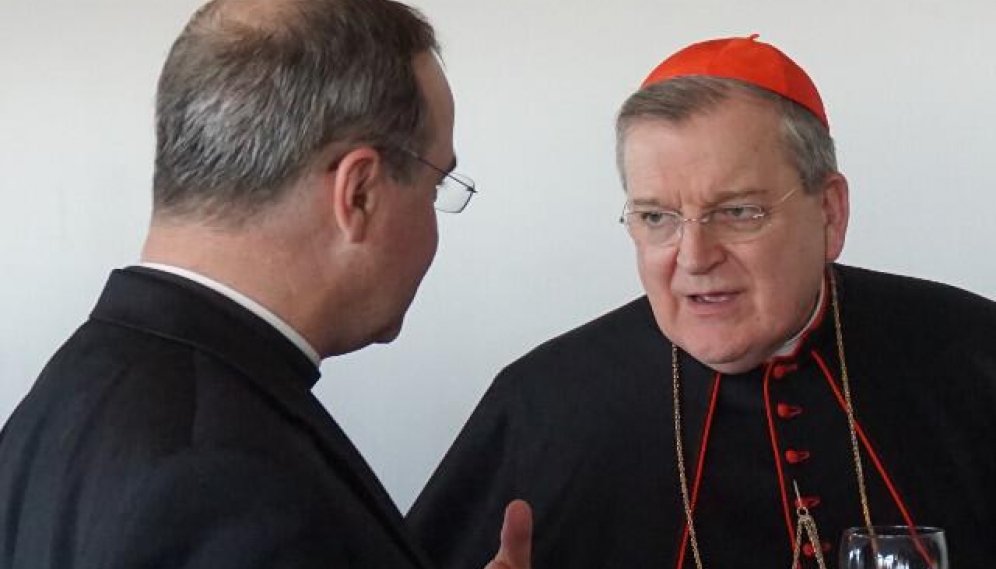 Cardinal Burke D.C. Event 2017