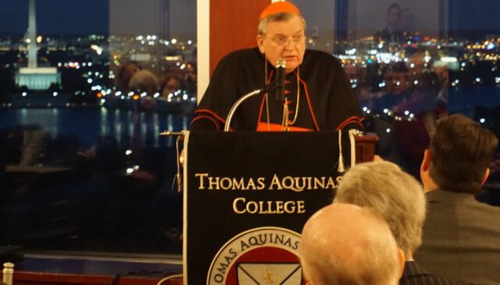 Cardinal Burke D.C. Event 2017