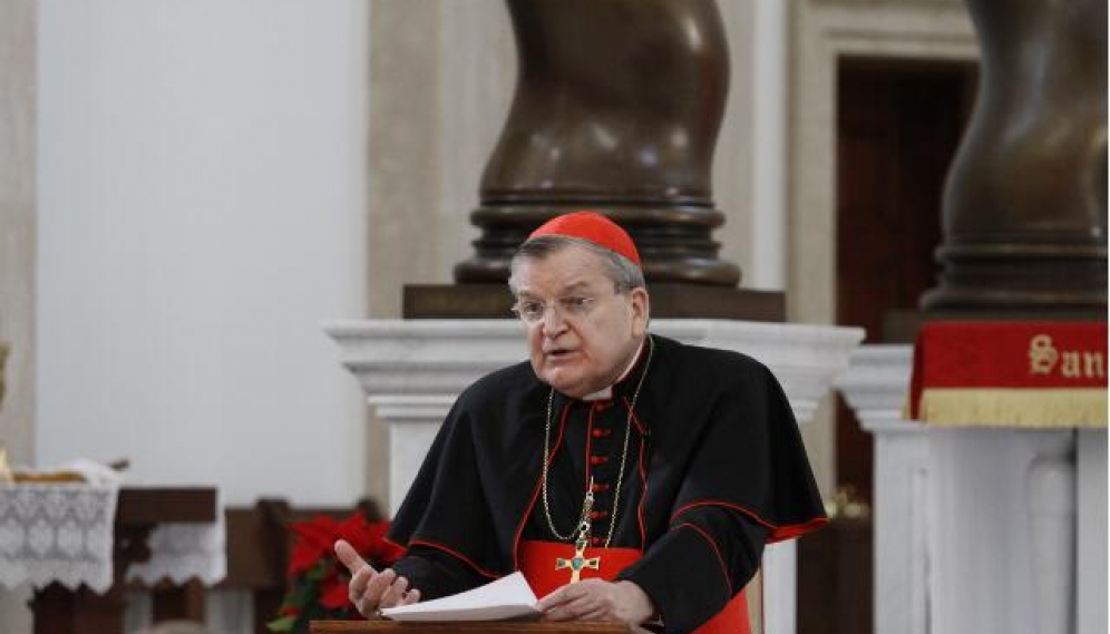 Cardinal Burke 2016 -- Conference and Mass