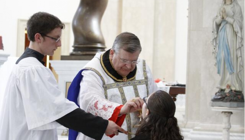 Cardinal Burke 2016 -- Conference and Mass