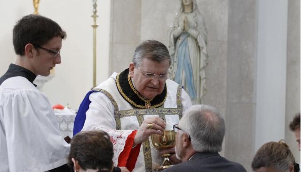 Cardinal Burke 2016 -- Conference and Mass