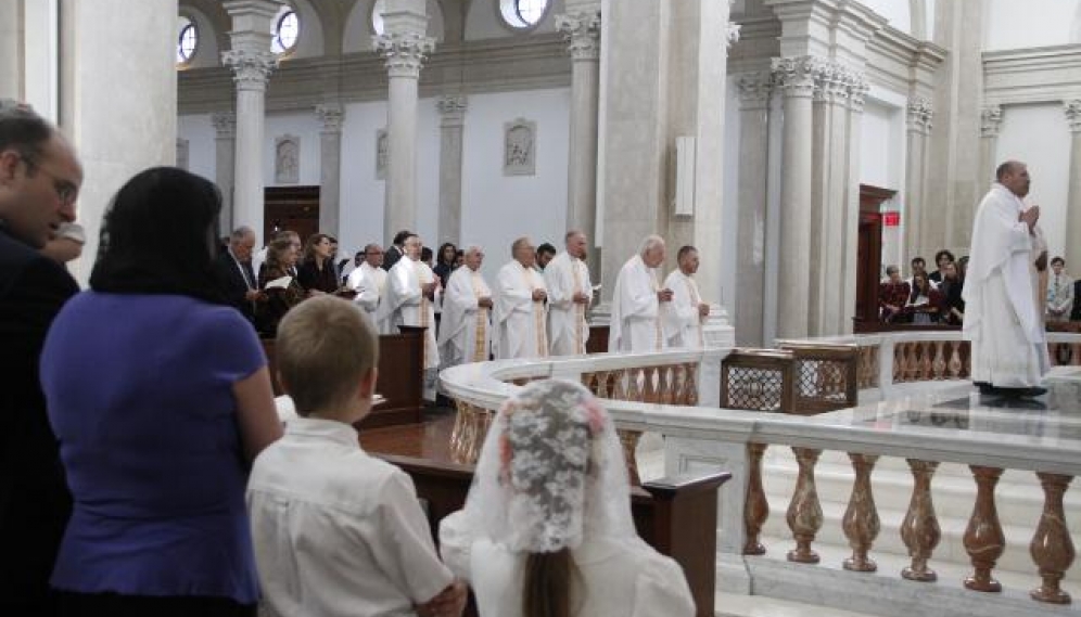 Cardinal Muller Mass 2016