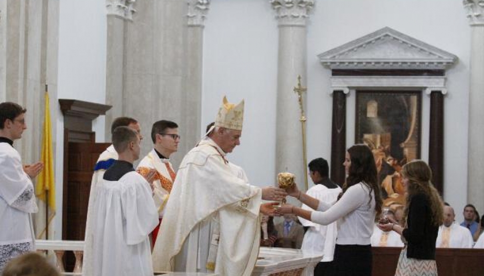 Cardinal Muller Mass 2016