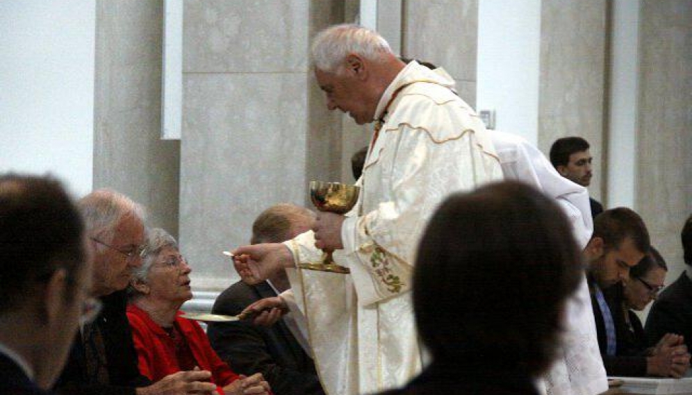 Cardinal Muller Mass 2016