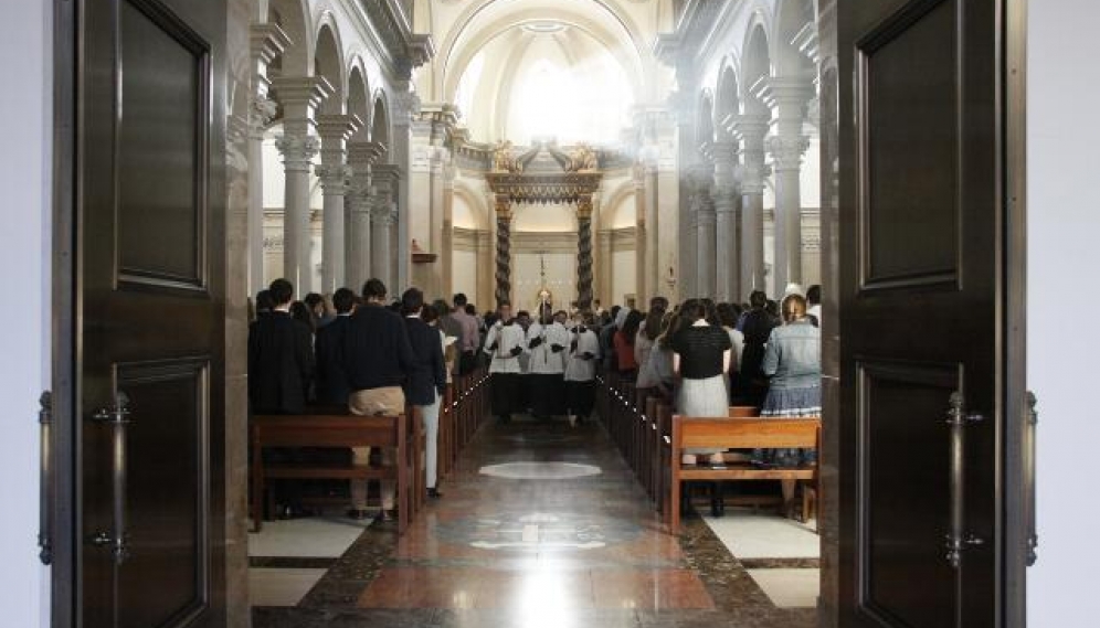 Cardinal Muller Mass 2016