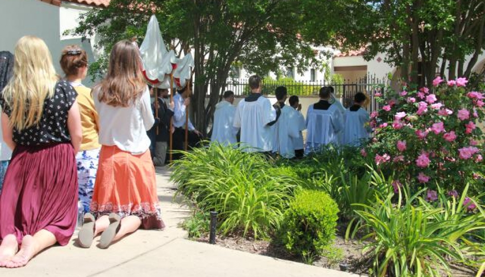 Divine Mercy Procession 2017