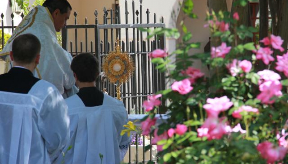 Divine Mercy Procession 2017