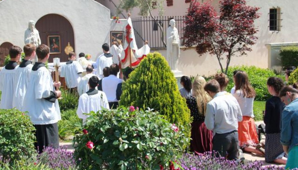 Divine Mercy Procession 2017