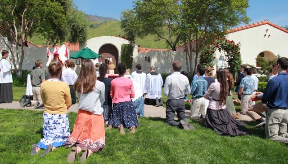 Divine Mercy Procession 2017