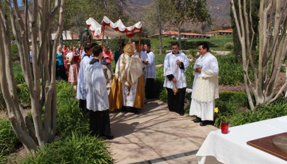 Divine Mercy Procession 2018