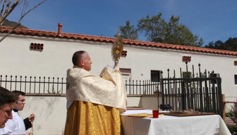 Divine Mercy Procession 2018