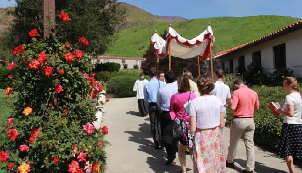 Divine Mercy Procession 2018