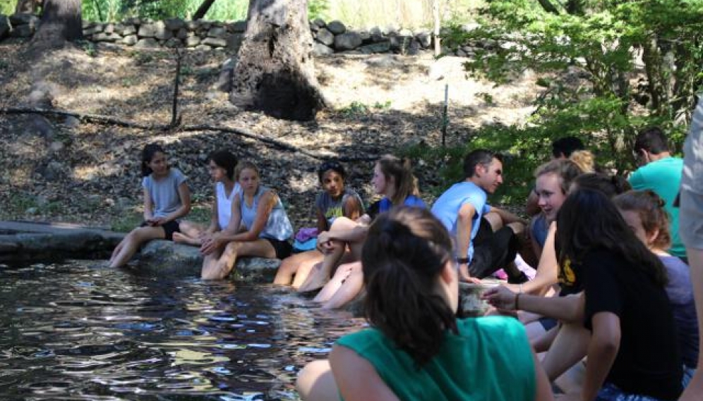 HSSP18 -- Pond jumping