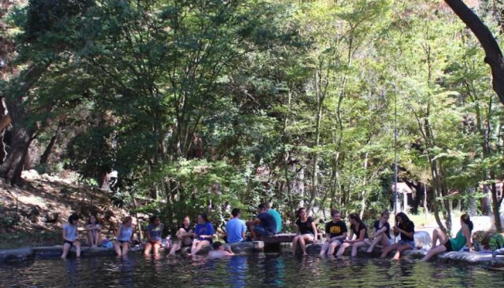 HSSP18 -- Pond jumping