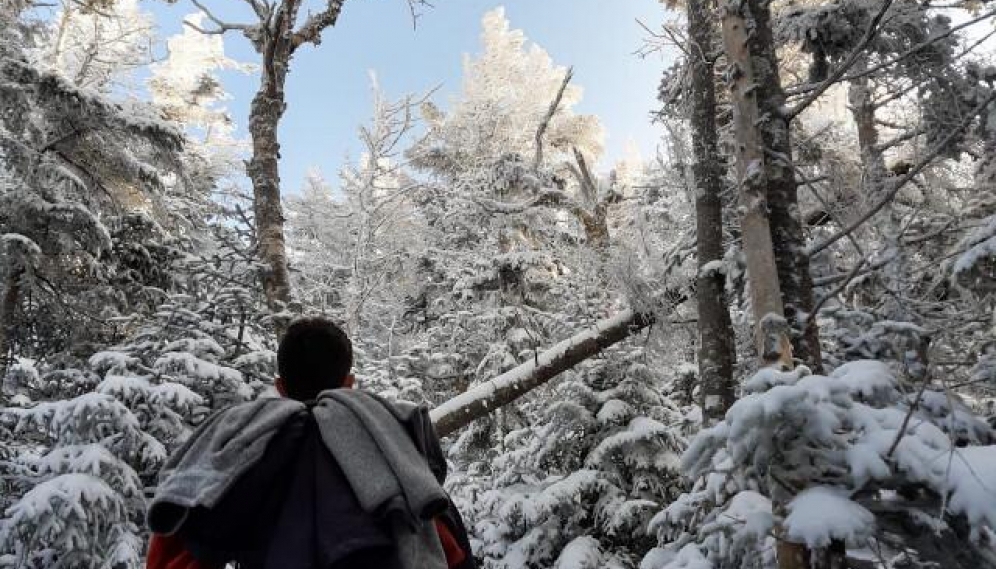 Mount Lafayette Hike 2019